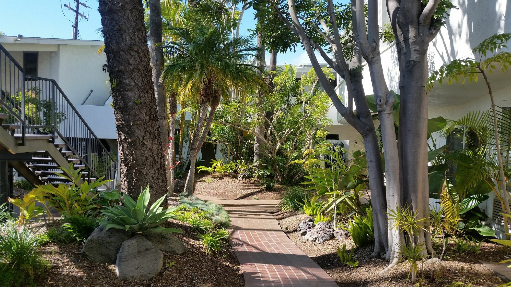 Laguna Beach Lodge מראה חיצוני תמונה