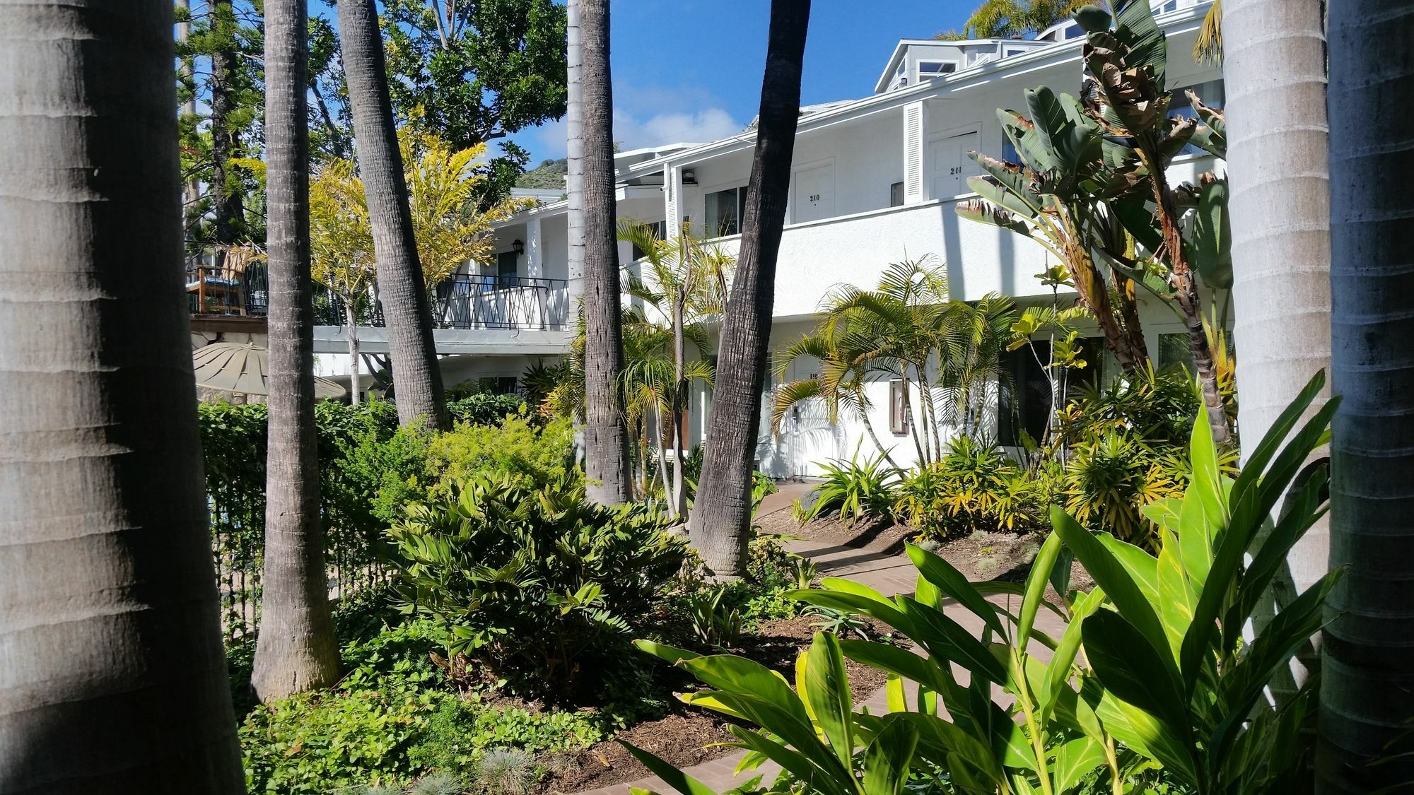 Laguna Beach Lodge מראה חיצוני תמונה